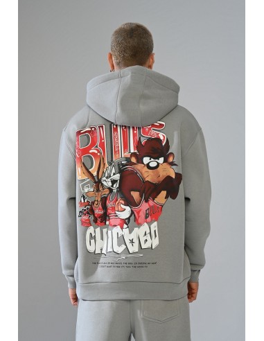 Sweat Capuche Chicago Bulls Gris Cartoon les ctes