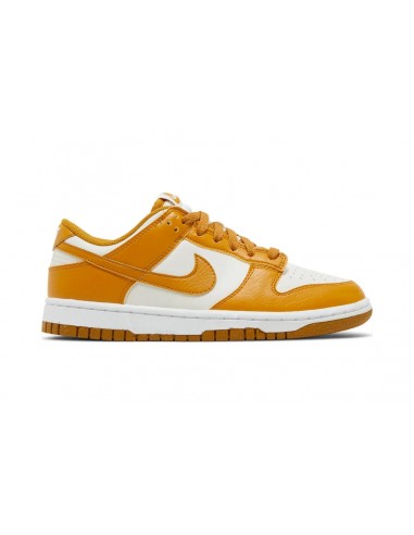 Nike Dunk Low Next Nature Phantom Les êtres humains sont 