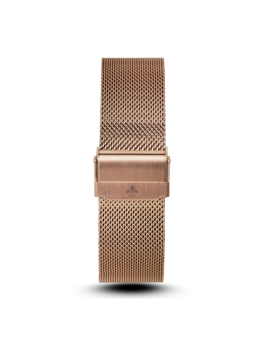 Rose Gold Mesh Interchangeable Strap Pour